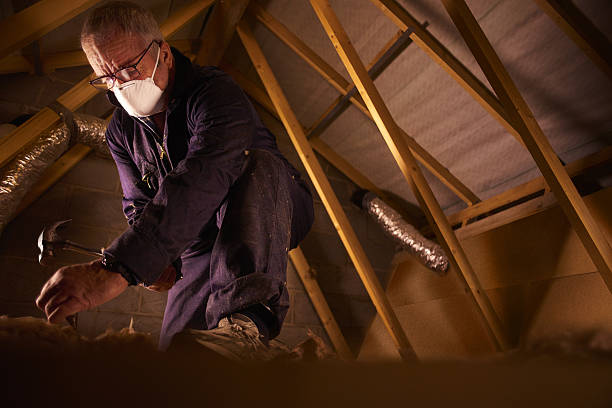Best Insulation Maintenance and Repair in Crystal Lake, CT